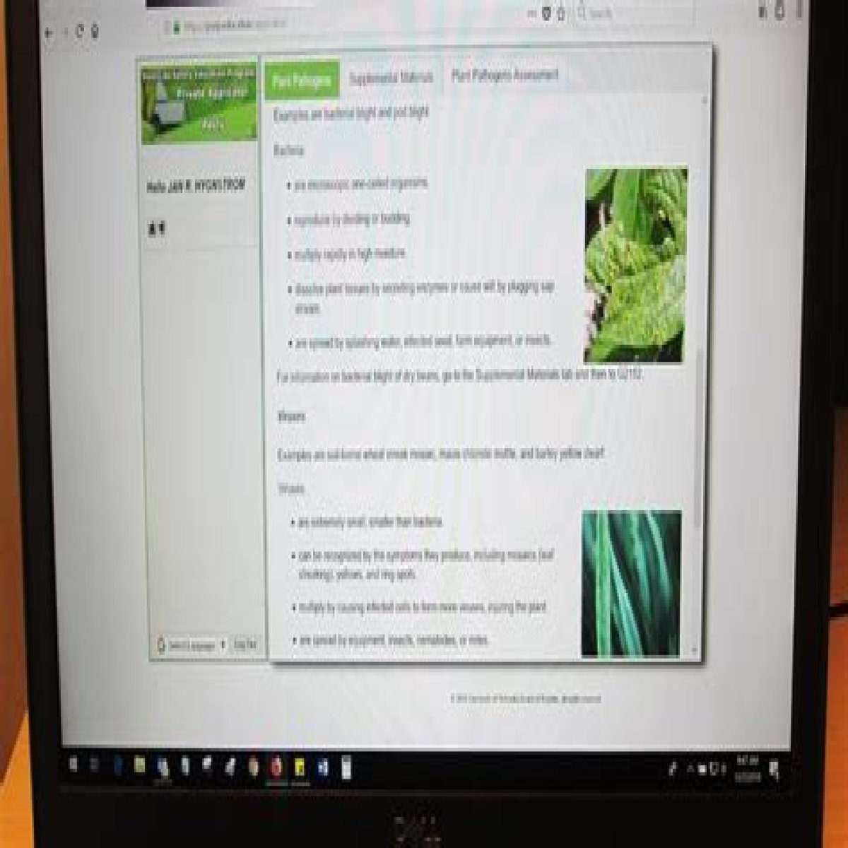 HTML